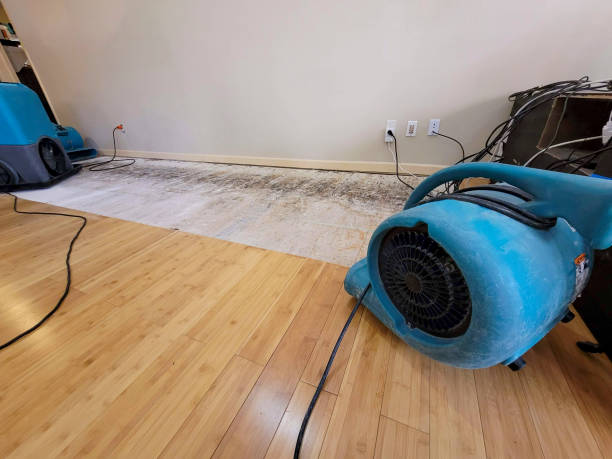 Professional Structural Drying technician working in Williamsburg, MA